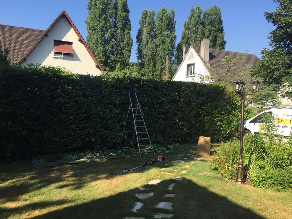 jardin aidhomeservice