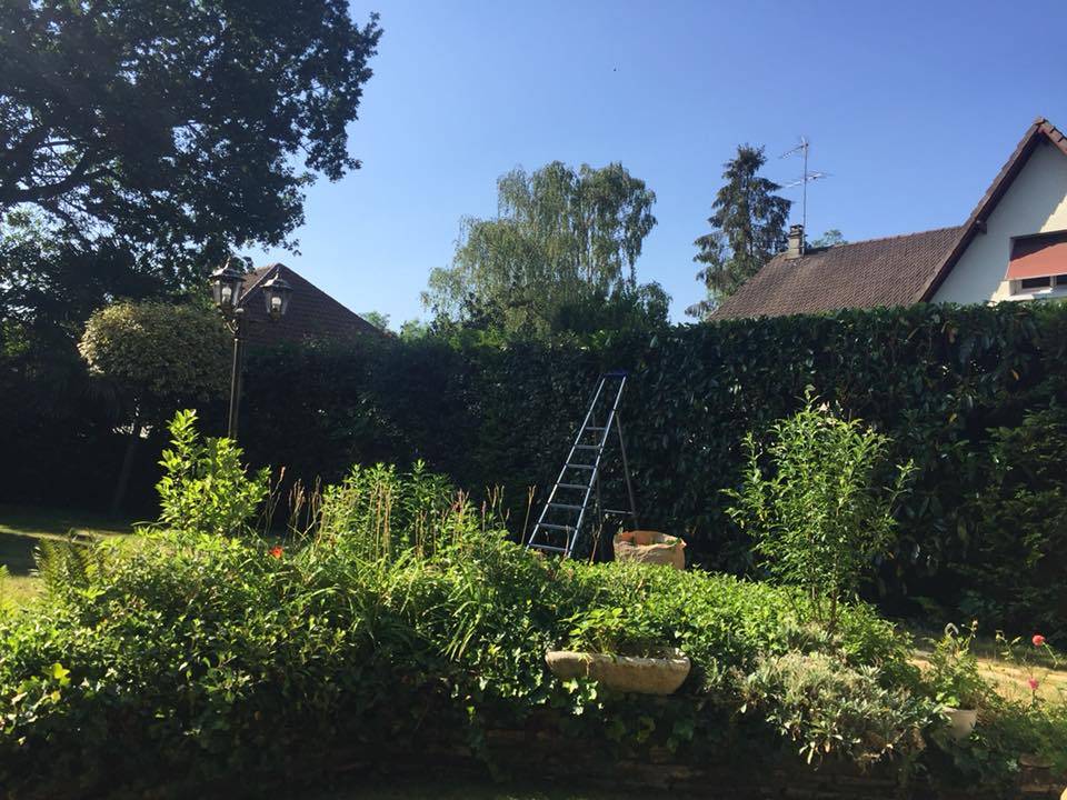 jardin aidhomeservice